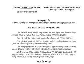 Danh sách đơn vị hành chính cấp phường, xã tỉnh Quảng Ngãi (Cập nhật tháng 6/2025)
