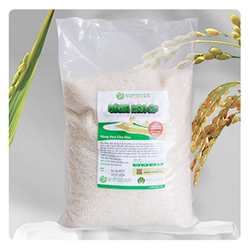 Gạo Nàng Hoa Chợ Đào Chất Việt