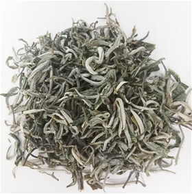 Bạch Trà Shan Tuyết Vị Xuyên Hà Giang